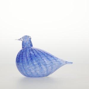 Birds Blue Bird 0788