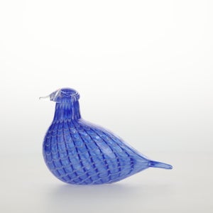 Birds Blue Bird 0790