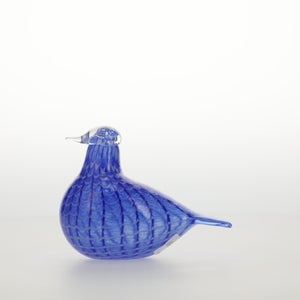 Birds Blue Bird 0792