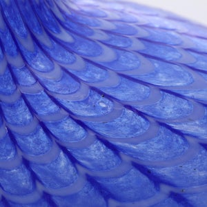 Birds Blue Bird 0777