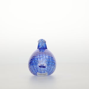 Birds Blue Bird 0762