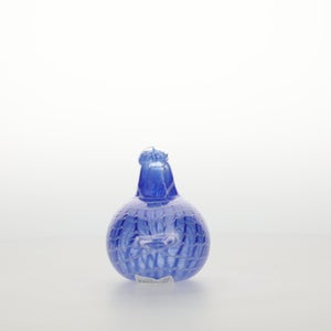 Birds Blue Bird 0770