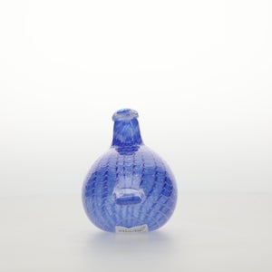 Birds Blue Bird 0771