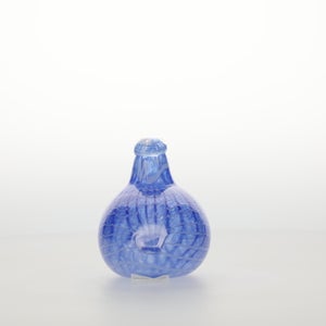 Birds Blue Bird 0776