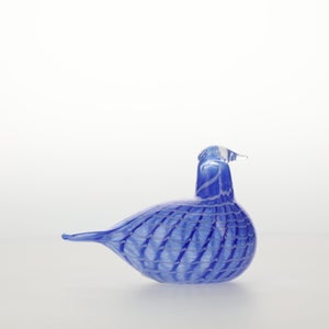 Birds Blue Bird 0770