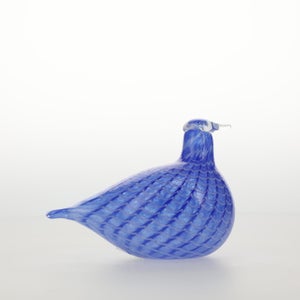 Birds Blue Bird 0771