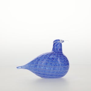 Birds Blue Bird 0773