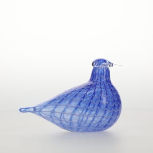 Birds Blue Bird 0777