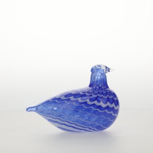 Birds Blue Bird 0783