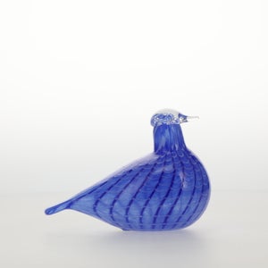 Birds Blue Bird 0784