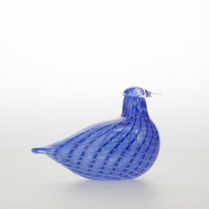 Birds Blue Bird 0786