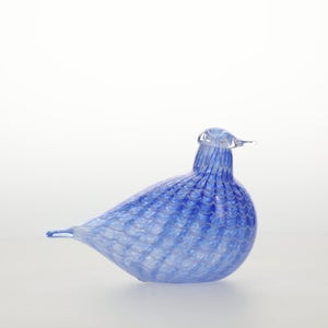 Birds Blue Bird 0788