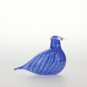 Birds Blue Bird 0790