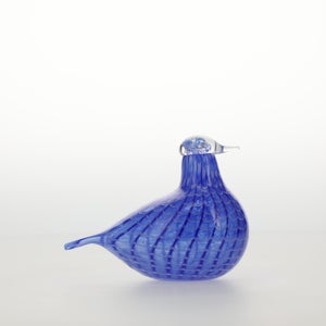 Birds Blue Bird 0792