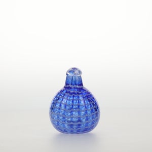 Birds Blue Bird 0762