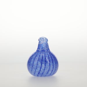 Birds Blue Bird 0776