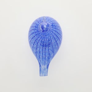 Birds Blue Bird 0769