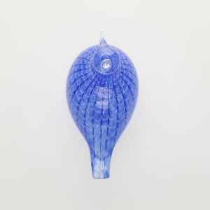 Birds Blue Bird 0774