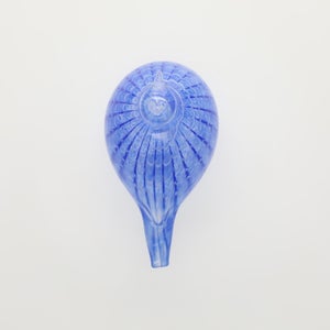 Birds Blue Bird 0776