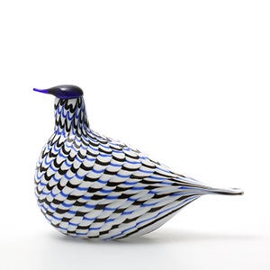 Birds Blue Charadrius 0004