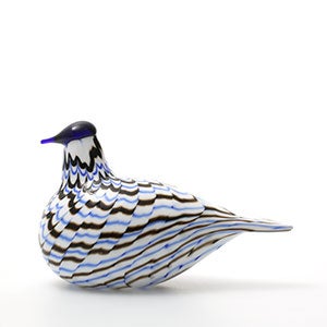 Birds Blue Charadrius 0009