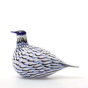 Birds Blue Charadrius 0012