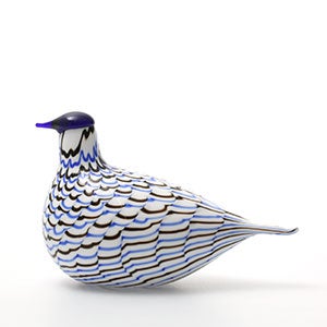 Birds Blue Charadrius 0032