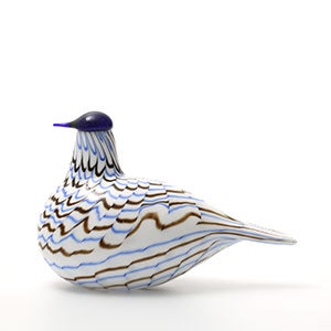 Birds Blue Charadrius 0039