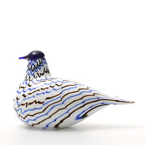 Birds Blue Charadrius 0046