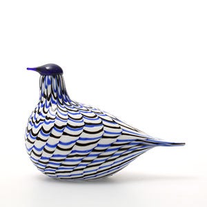 Birds Blue Charadrius 0048