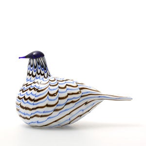 Birds Blue Charadrius 0058