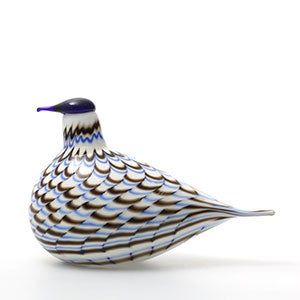 Birds Blue Charadrius 0082