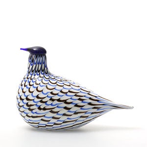 Birds Blue Charadrius 0089