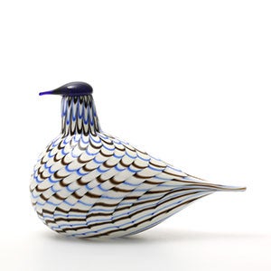 Birds Blue Charadrius 0093