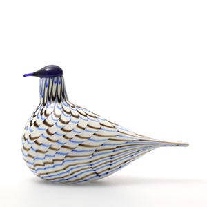 Birds Blue Charadrius 0097