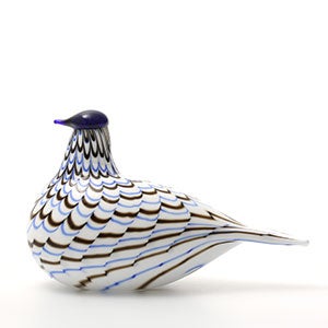 Birds Blue Charadrius 0114