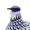 Birds Blue Charadrius 0012