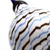 Birds Blue Charadrius 0017