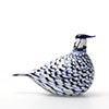 Birds Blue Charadrius 0004