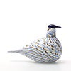 Birds Blue Charadrius 0008