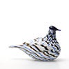 Birds Blue Charadrius 0009