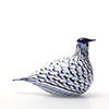 Birds Blue Charadrius 0012