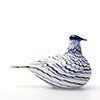 Birds Blue Charadrius 0014