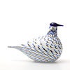 Birds Blue Charadrius 0016