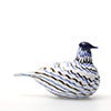 Birds Blue Charadrius 0020