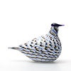 Birds Blue Charadrius 0023