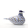 Birds Blue Charadrius 0031