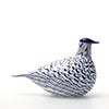 Birds Blue Charadrius 0032