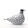 Birds Blue Charadrius 0037