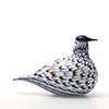 Birds Blue Charadrius 0040